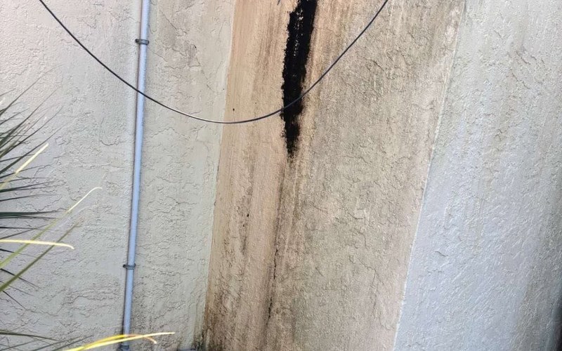 Mold-stained surface before pressure washing Panama City Beach FL