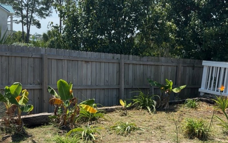 Cleared yard after Luke's cleanup Panama City Beach FL