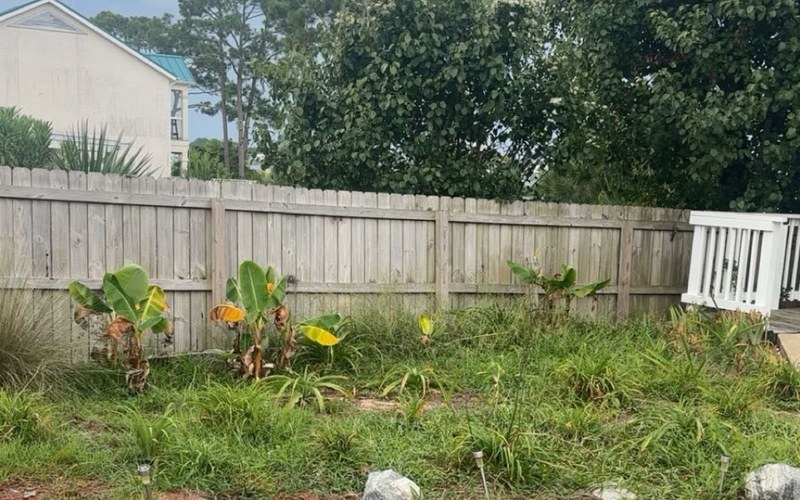 Overgrown yard before cleanup Panama City Beach FL