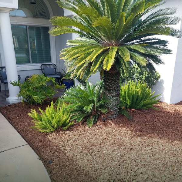 Luke's Lawncare mulching service Panama City Beach FL